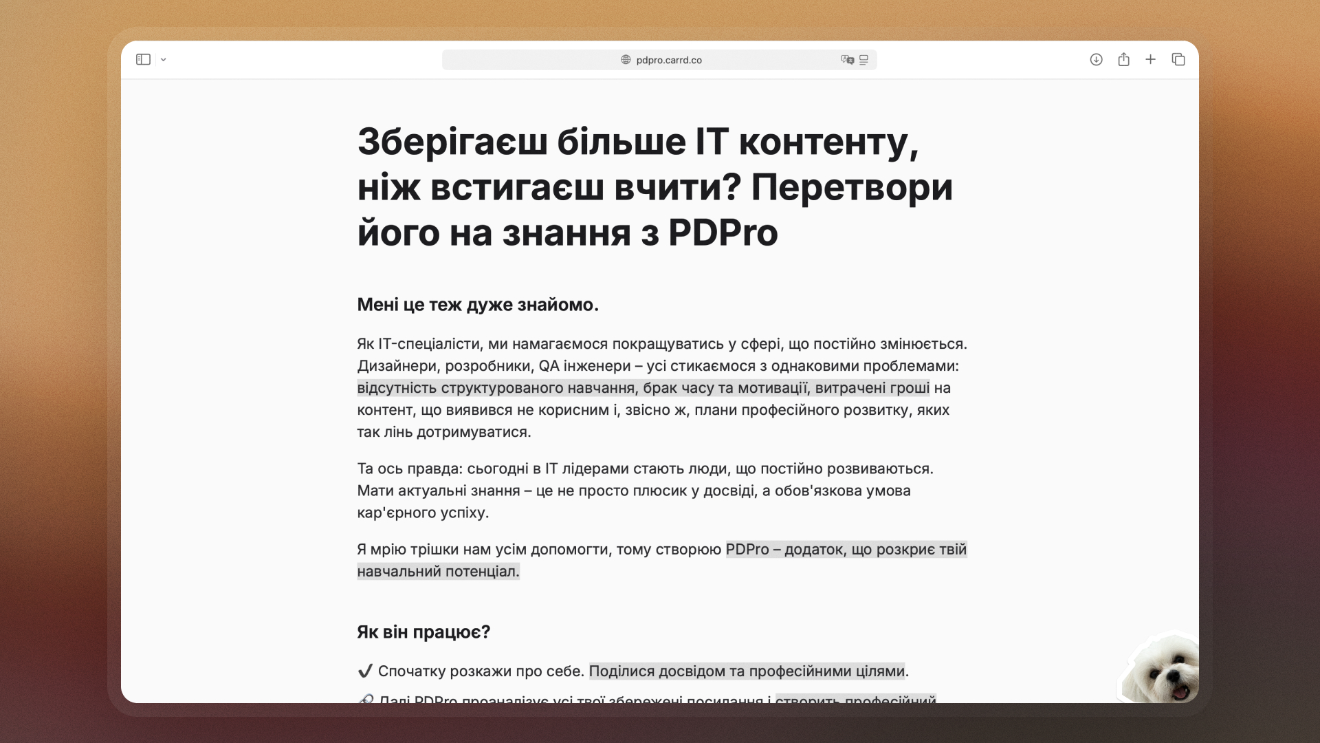 Приклад PDPro лендінгу